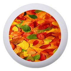 Leaves Texture Dento Box With Mirror by Ket1n9