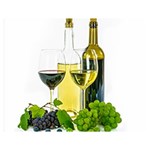 White Wine Red Wine The Bottle Two Sides Premium Plush Fleece Blanket (Medium) 60 x50  Blanket Front