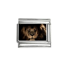 African Lion Mane Close Eyes Italian Charm (9mm) by Ket1n9