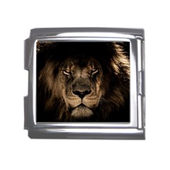 African Lion Mane Close Eyes Mega Link Italian Charm (18mm) by Ket1n9