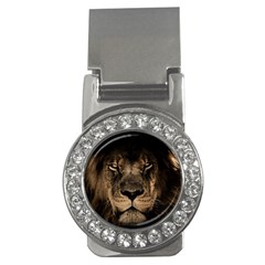 African Lion Mane Close Eyes Money Clips (cz)  by Ket1n9