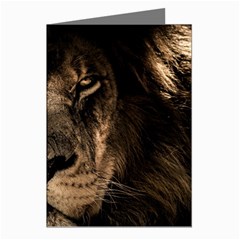 African Lion Mane Close Eyes Greeting Cards (pkg Of 8) by Ket1n9