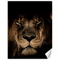 African Lion Mane Close Eyes Canvas 12  X 16  by Ket1n9