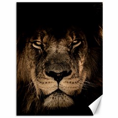 African Lion Mane Close Eyes Canvas 36  X 48  by Ket1n9