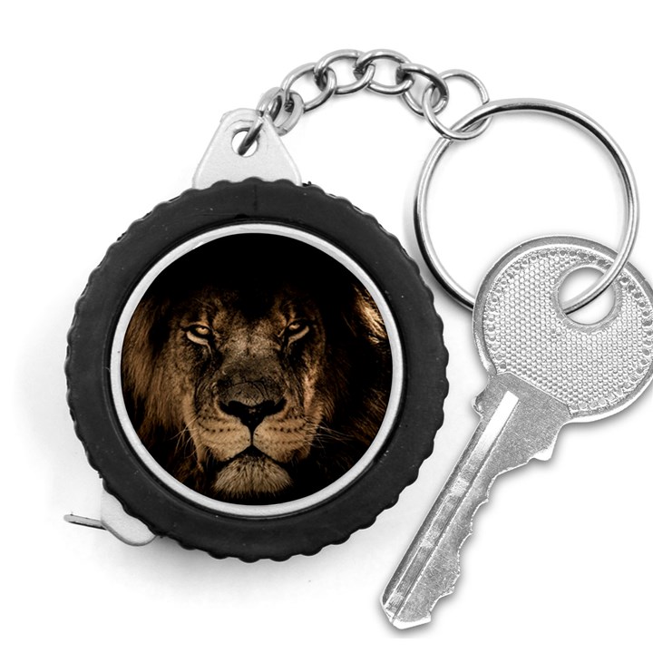 African Lion Mane Close Eyes Measuring Tape