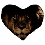 African Lion Mane Close Eyes Large 19  Premium Heart Shape Cushions Front