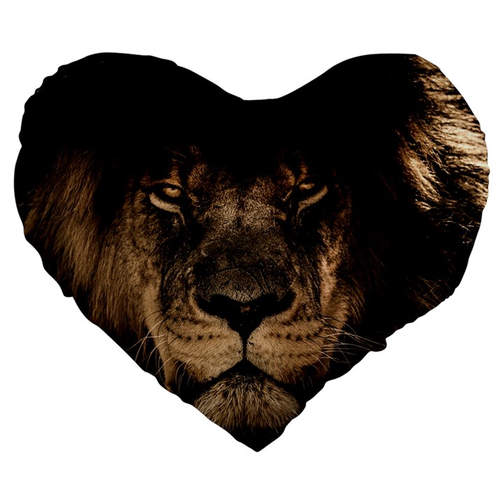 African Lion Mane Close Eyes Large 19  Premium Heart Shape Cushions