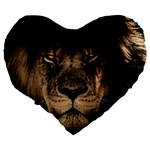 African Lion Mane Close Eyes Large 19  Premium Heart Shape Cushions Back