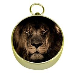 African Lion Mane Close Eyes Gold Compasses by Ket1n9