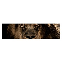 African Lion Mane Close Eyes Oblong Satin Scarf (16  X 60 ) by Ket1n9