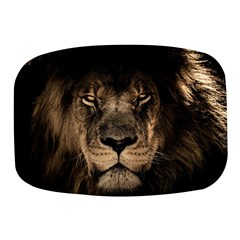 African Lion Mane Close Eyes Mini Square Pill Box by Ket1n9