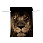 African Lion Mane Close Eyes Lightweight Drawstring Pouch (M) Front