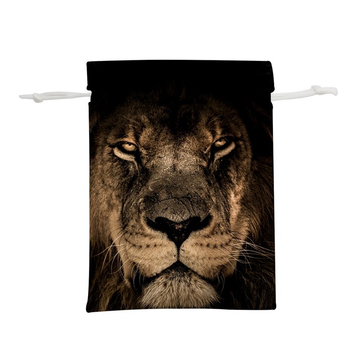 African Lion Mane Close Eyes Lightweight Drawstring Pouch (M)