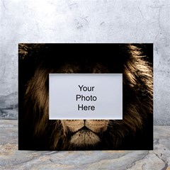 African Lion Mane Close Eyes White Tabletop Photo Frame 4 x6  by Ket1n9