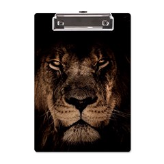 African Lion Mane Close Eyes A5 Acrylic Clipboard by Ket1n9