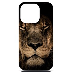 African Lion Mane Close Eyes Iphone 14 Pro Black Uv Print Case by Ket1n9