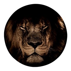 African Lion Mane Close Eyes Round Glass Fridge Magnet (4 Pack) by Ket1n9