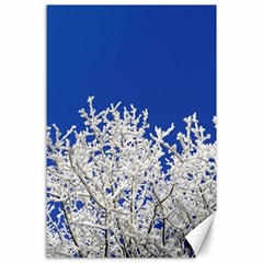 Crown Aesthetic Branches Hoarfrost Canvas 24  X 36  by Ket1n9