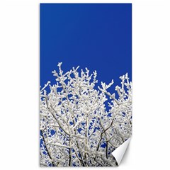 Crown Aesthetic Branches Hoarfrost Canvas 40  X 72  by Ket1n9