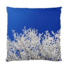 Crown Aesthetic Branches Hoarfrost Standard Cushion Case (one Side) by Ket1n9