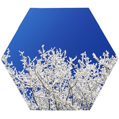 Crown Aesthetic Branches Hoarfrost Wooden Puzzle Hexagon by Ket1n9