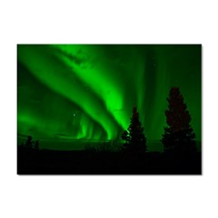 Aurora Borealis Northern Lights Sticker A4 (100 Pack) by Ket1n9