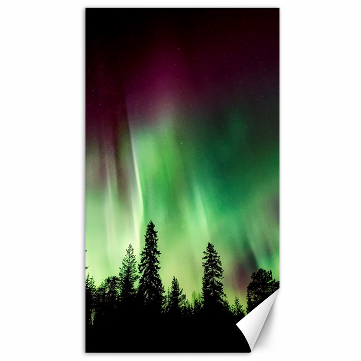 Aurora Borealis Northern Lights Canvas 40  x 72 