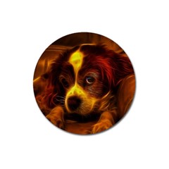 Cute 3d Dog Magnet 3  (round) by Ket1n9