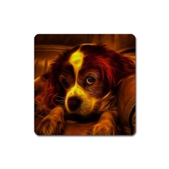 Cute 3d Dog Square Magnet by Ket1n9