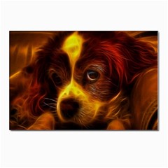 Cute 3d Dog Postcard 4 x 6  (pkg Of 10) by Ket1n9