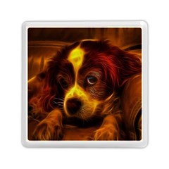 Cute 3d Dog Memory Card Reader (square) by Ket1n9