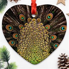 Peacock Feathers Wheel Plumage Ornament (heart) by Ket1n9