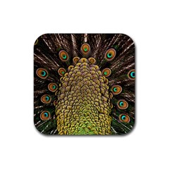 Peacock Feathers Wheel Plumage Rubber Coaster (square) by Ket1n9