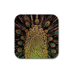 Peacock Feathers Wheel Plumage Rubber Square Coaster (4 Pack) by Ket1n9