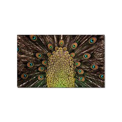 Peacock Feathers Wheel Plumage Sticker Rectangular (10 Pack) by Ket1n9