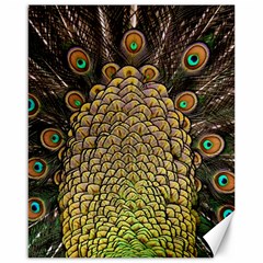 Peacock Feathers Wheel Plumage Canvas 16  X 20  by Ket1n9