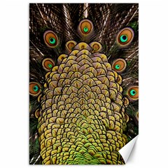 Peacock Feathers Wheel Plumage Canvas 20  X 30  by Ket1n9