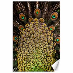 Peacock Feathers Wheel Plumage Canvas 24  X 36  by Ket1n9