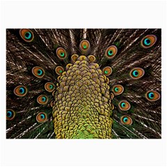 Peacock Feathers Wheel Plumage Large Glasses Cloth (2 Sides) by Ket1n9