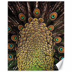 Peacock Feathers Wheel Plumage Canvas 11  X 14  by Ket1n9