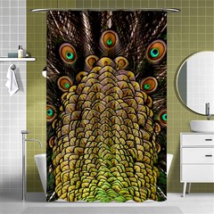 Peacock Feathers Wheel Plumage Shower Curtain 48  X 72  (small)  by Ket1n9