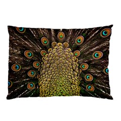 Peacock Feathers Wheel Plumage Pillow Case (two Sides) by Ket1n9