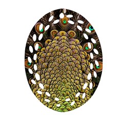 Peacock Feathers Wheel Plumage Oval Filigree Ornament (two Sides) by Ket1n9