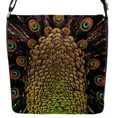 Peacock Feathers Wheel Plumage Flap Closure Messenger Bag (s) by Ket1n9