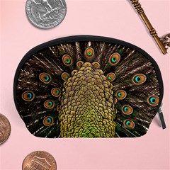 Peacock Feathers Wheel Plumage Accessory Pouch (large) by Ket1n9