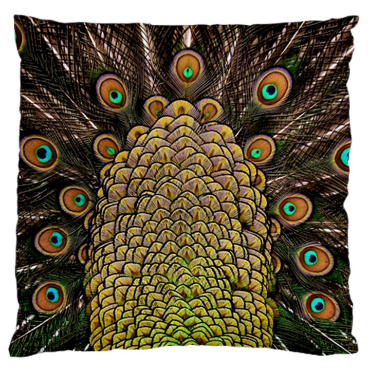 Peacock Feathers Wheel Plumage Large Premium Plush Fleece Cushion Case (One Side)