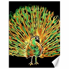 Unusual Peacock Drawn With Flame Lines Canvas 12  X 16  by Ket1n9