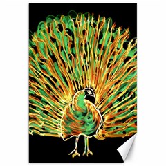 Unusual Peacock Drawn With Flame Lines Canvas 20  X 30  by Ket1n9