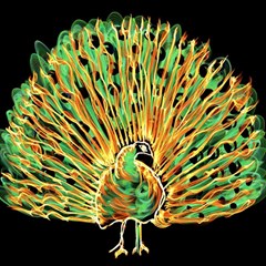 Unusual Peacock Drawn With Flame Lines Play Mat (rectangle) by Ket1n9