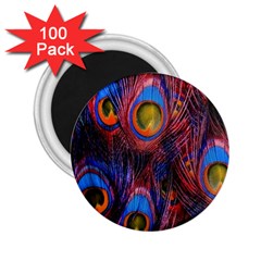 Pretty Peacock Feather 2 25  Magnets (100 Pack)  by Ket1n9